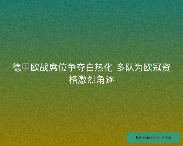 德甲欧战席位争夺白热化 多队为欧冠资格激烈角逐