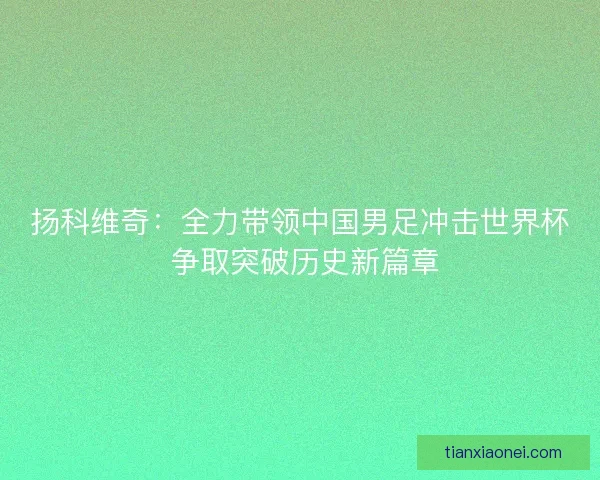 扬科维奇：全力带领中国男足冲击世界杯 争取突破历史新篇章